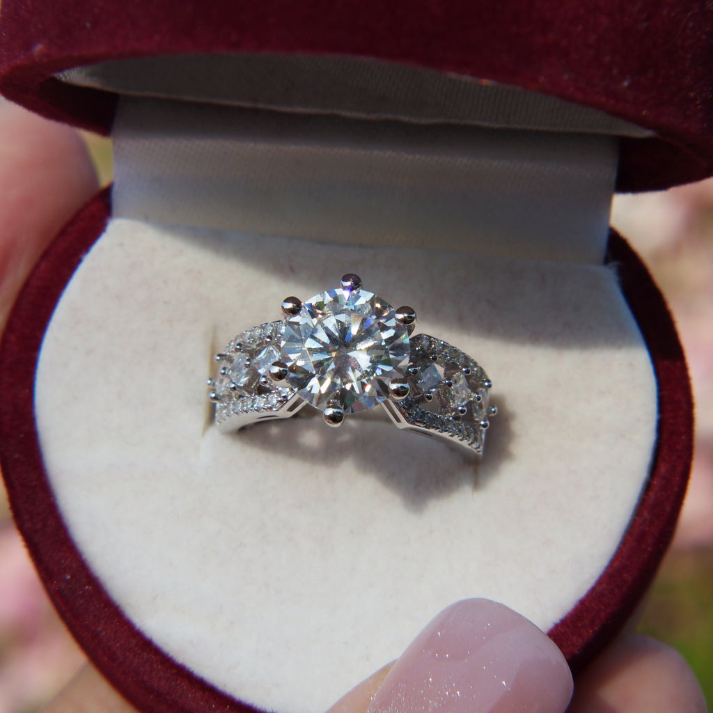 The Princess's Beloved