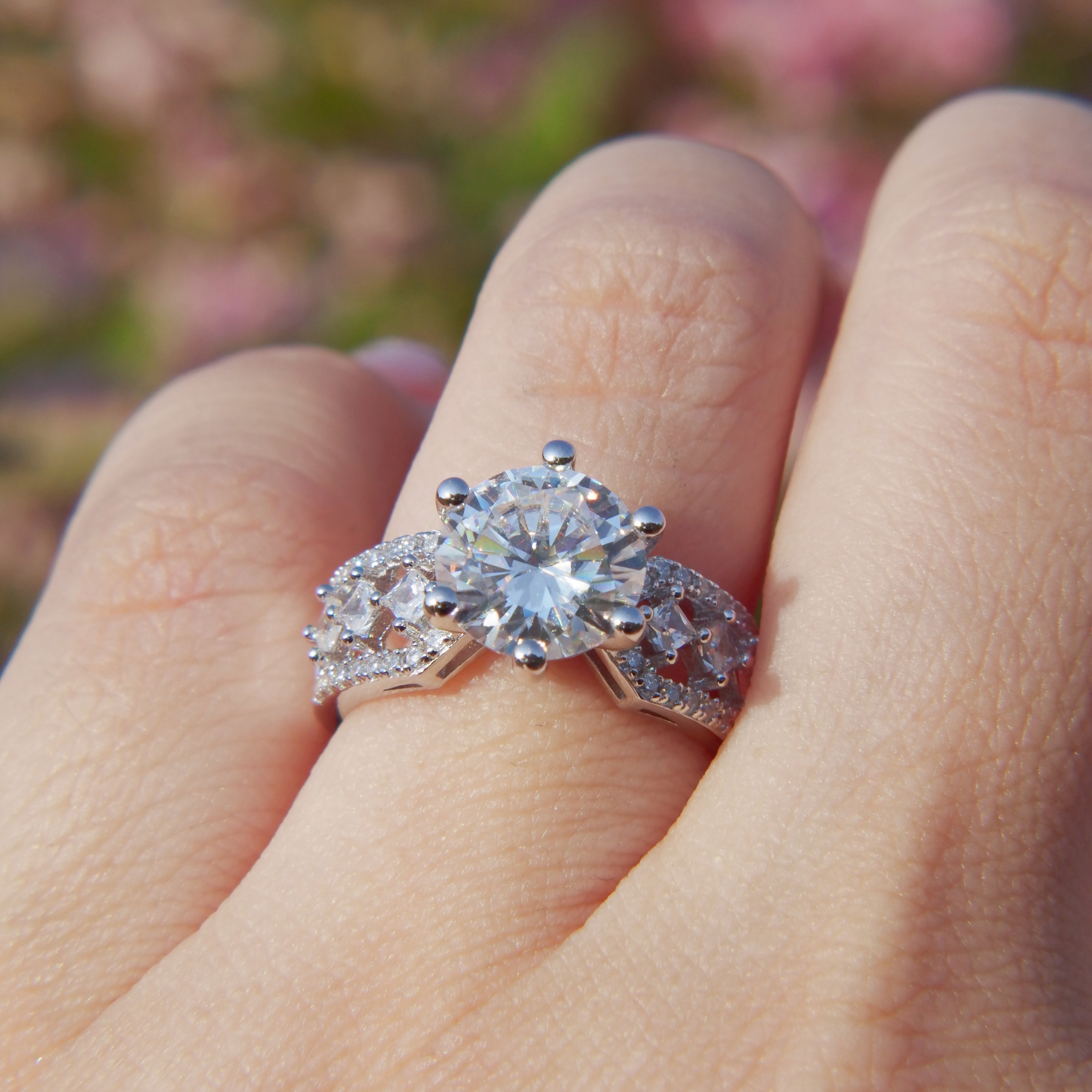 The Princess's Beloved