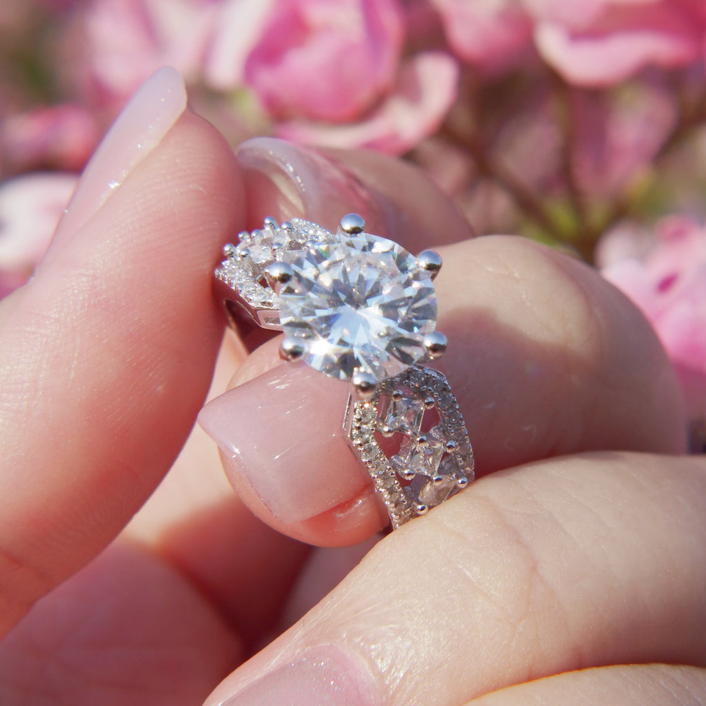 The Princess's Beloved