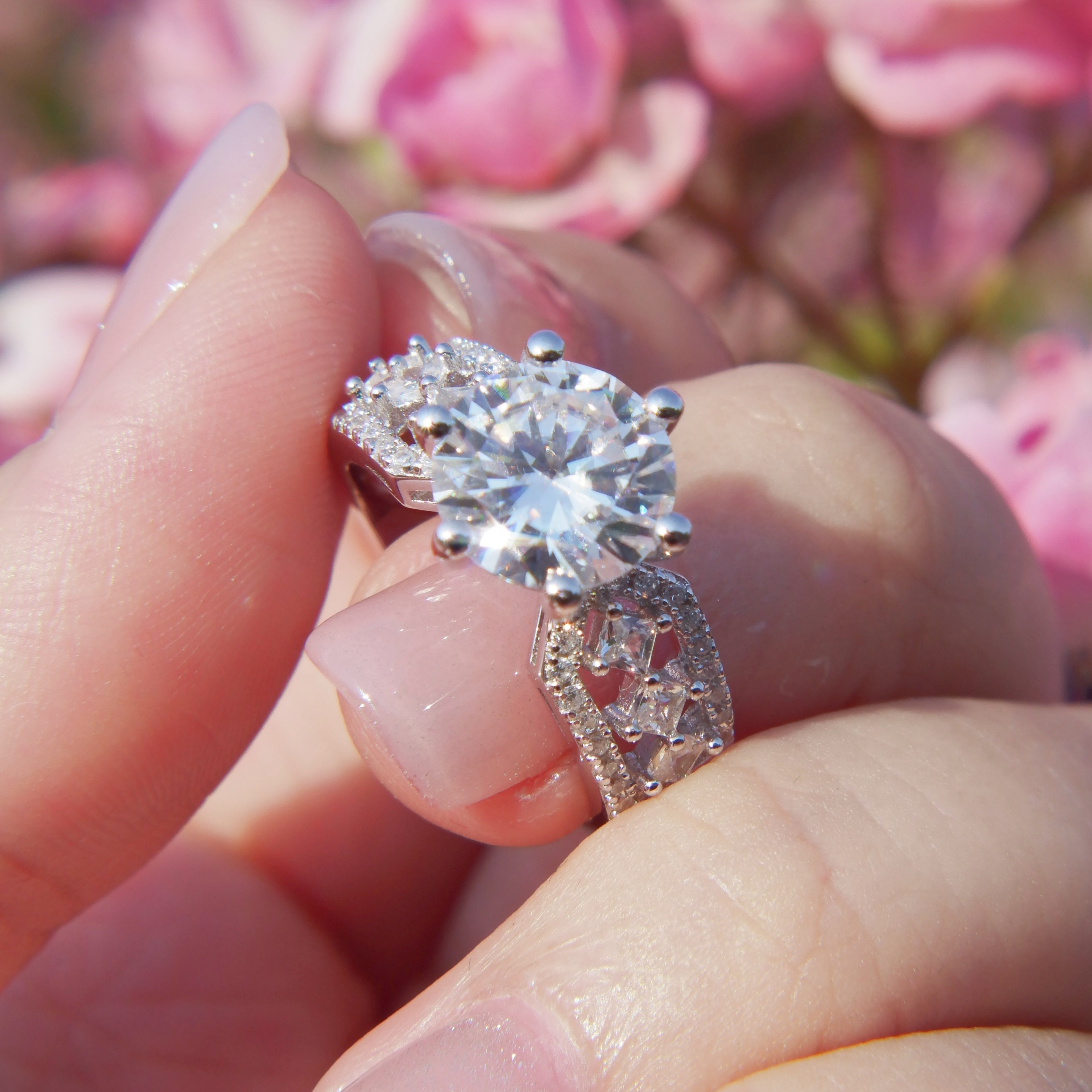 The Princess's Beloved